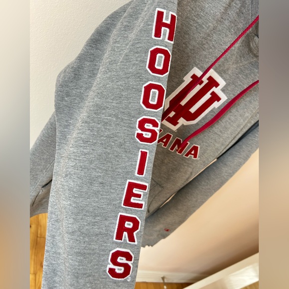 Vintage Y2K Indiana Hoosiers Champion hoodie sweater sweatshirt collegiate NCAA - Picture 6 of 16